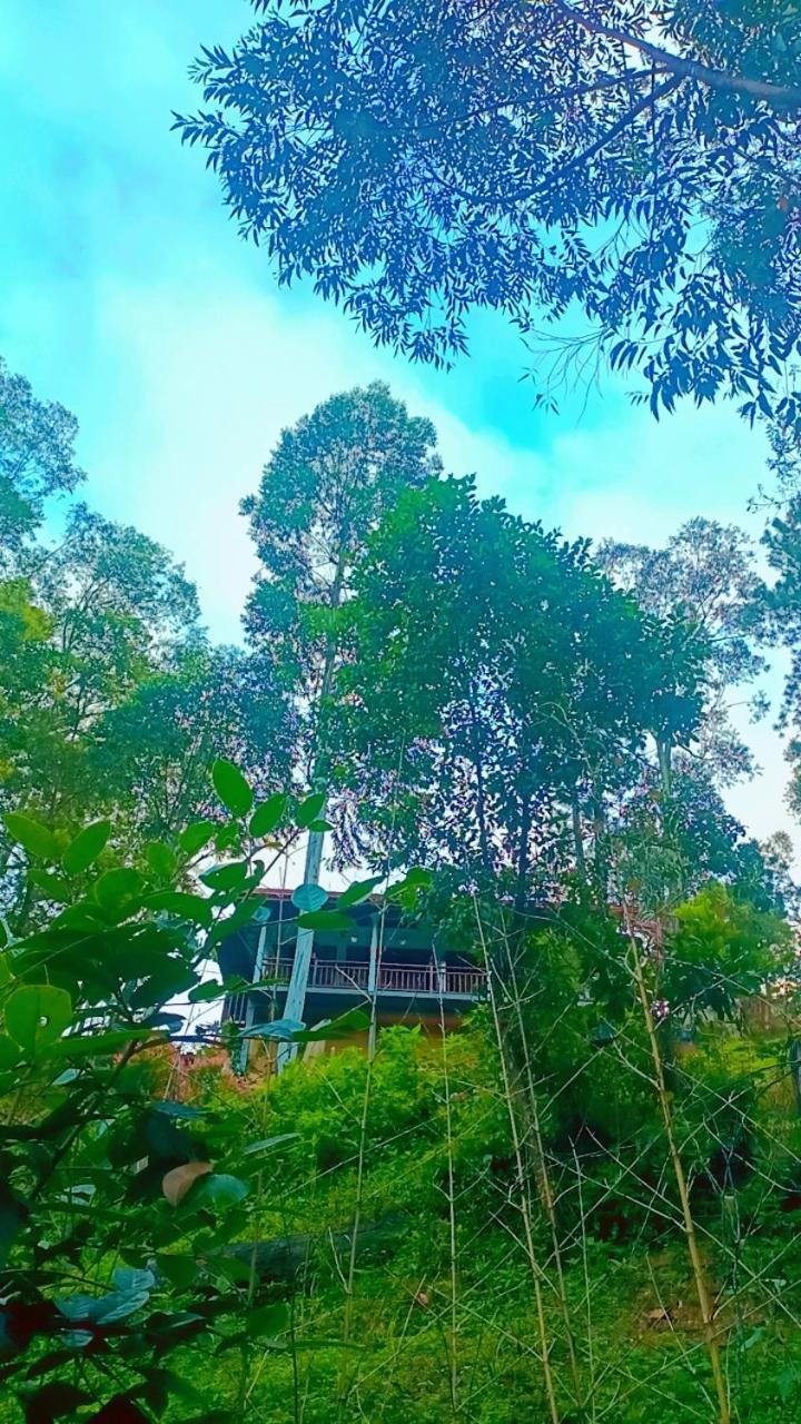 Ella Hillsite View Hotel Екстериор снимка