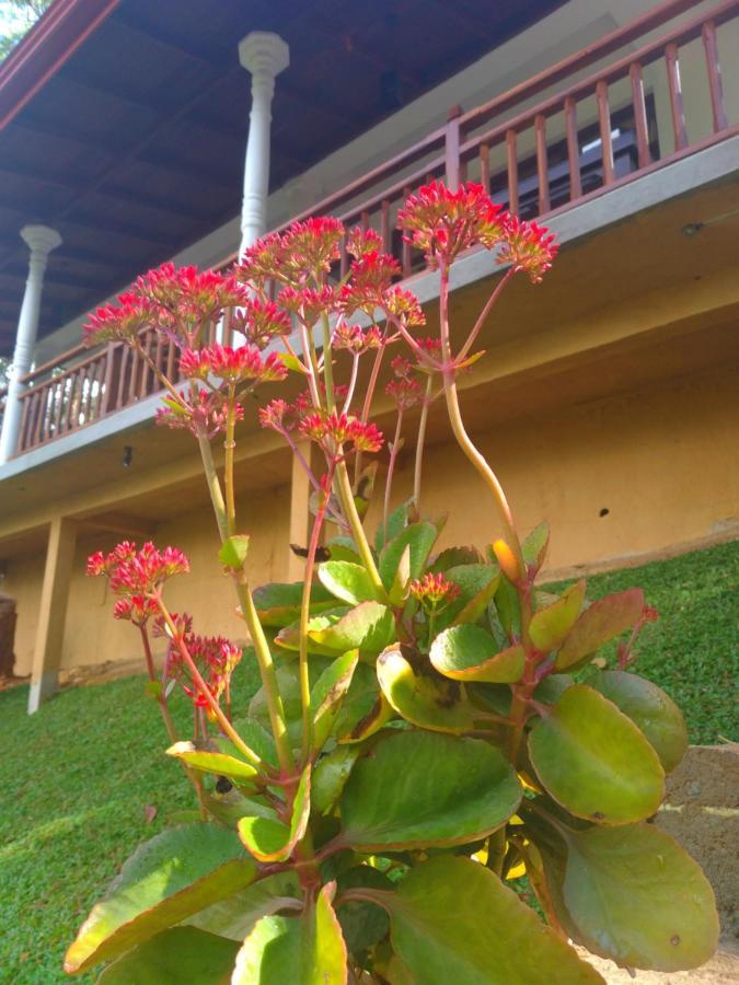 Ella Hillsite View Hotel Екстериор снимка